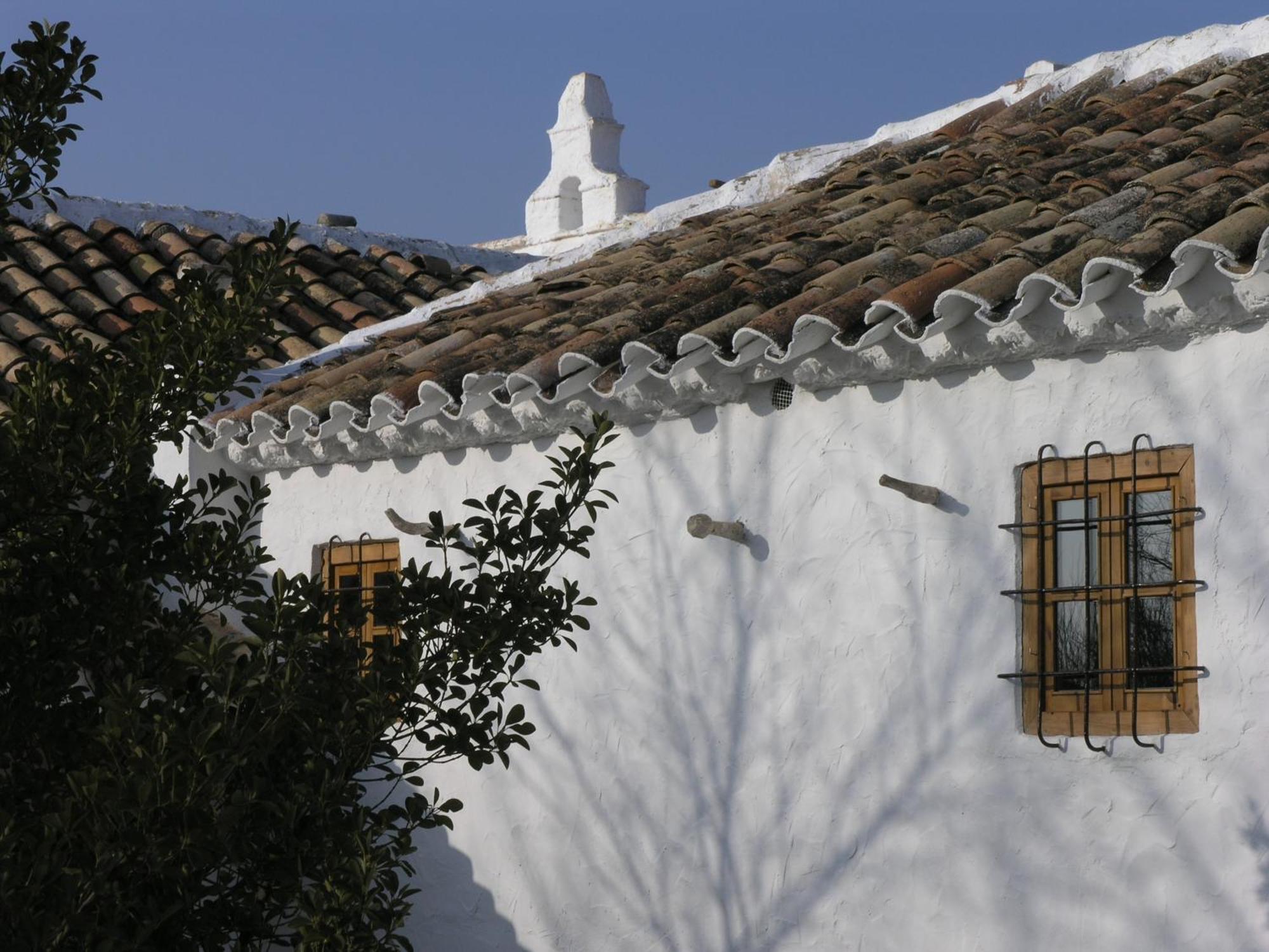 Casa Rural La Alameda Madridejos Extérieur photo