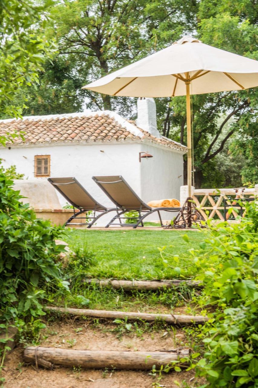 Casa Rural La Alameda Madridejos Extérieur photo