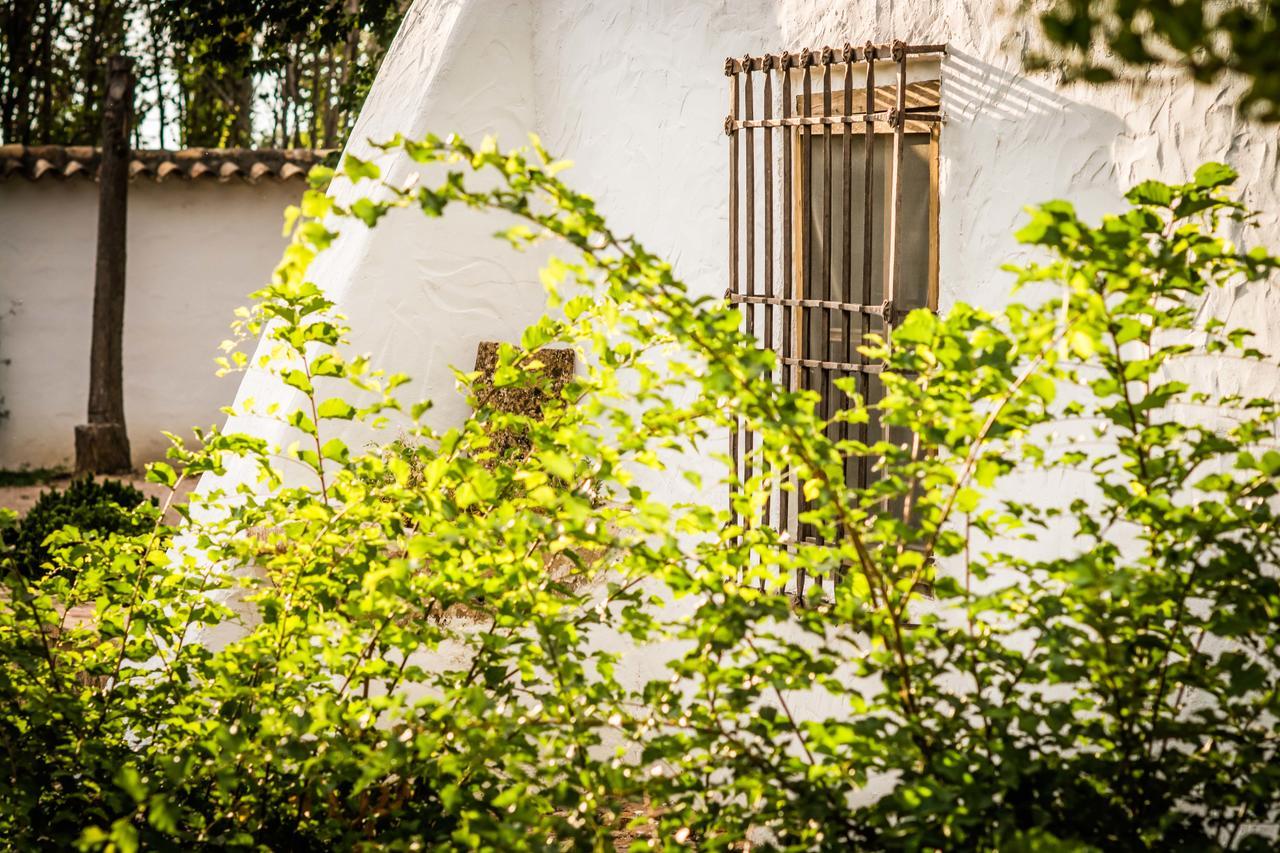 Casa Rural La Alameda Madridejos Extérieur photo